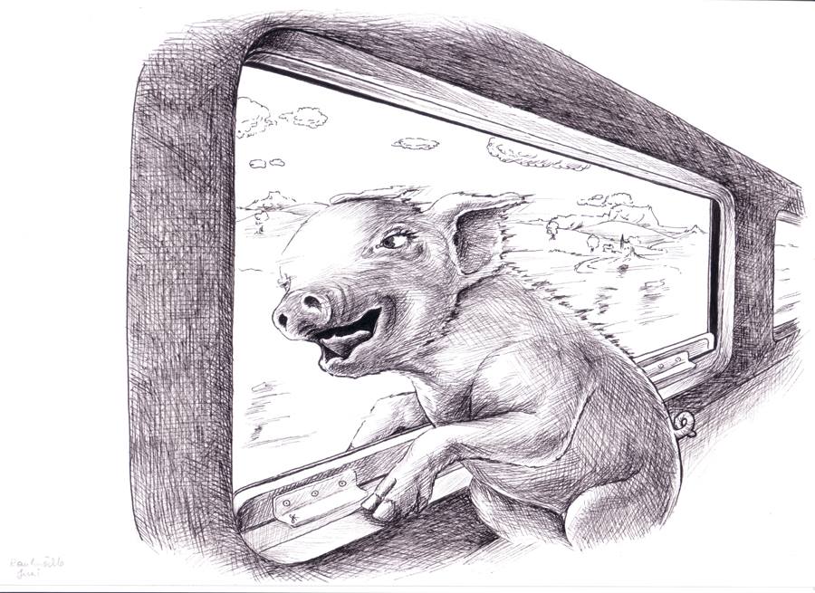 Schweinchen Glück - Illustration Stefan Kahlhammer